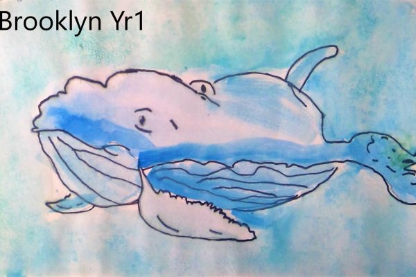 Year-1-Brooklyn-Watercolour-whale